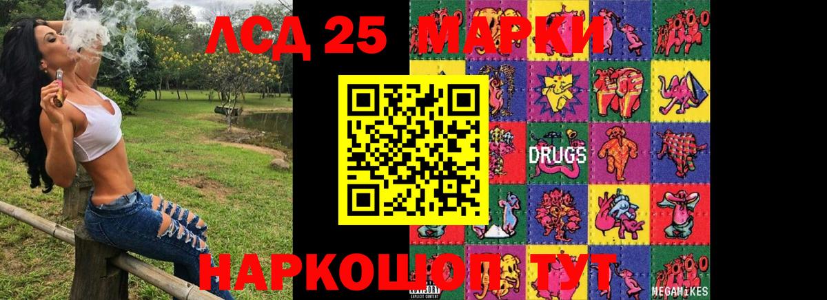 A PVP Мончегорск