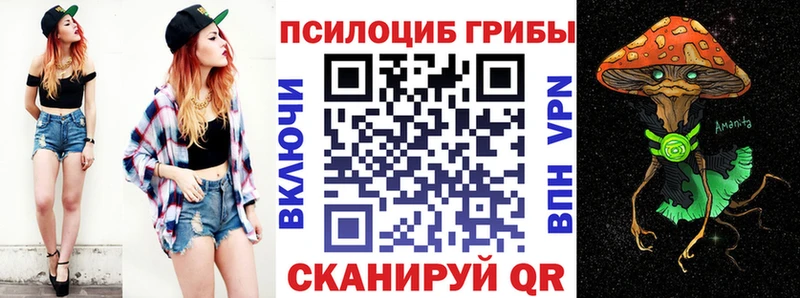 дарнет шоп  Мончегорск  Галлюциногенные грибы прущие грибы 