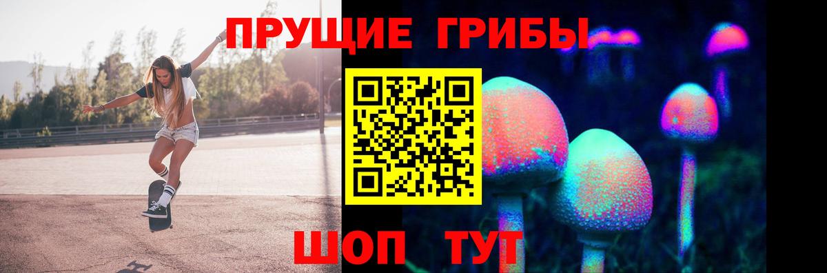 Мончегорск  закладки  Вход с VPN  Галлюциногенные грибы мицелий  Псилоцибиновые грибы мицелий 